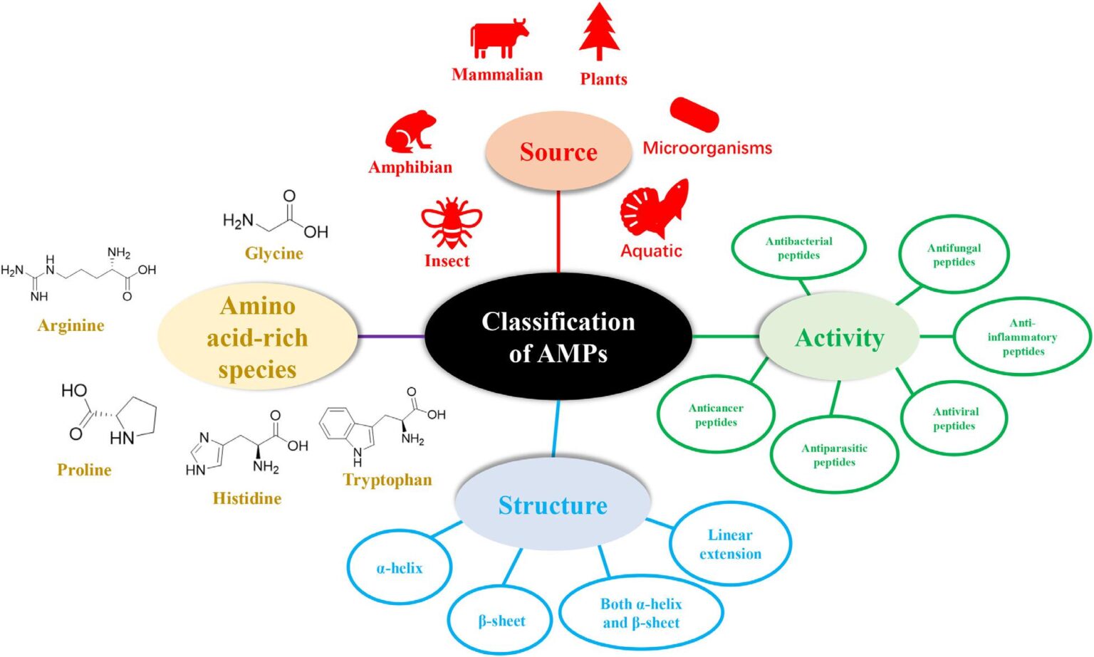 Advantage And Disadvantage Of Amino Acids Peptides   255986076 303334135017834 4868076954887169574 N 1536x923 